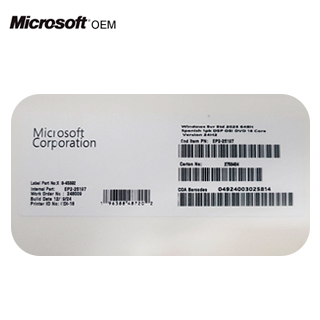 Sistema Operativo Microsoft WINDOWS SVR STD 2025 64BIT 1PK Spanish OEM (EP2-25197)
