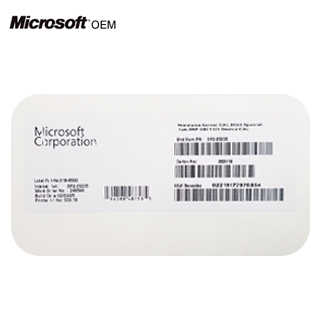 Microsoft Windows Server CAL 2025 1PK DEVICE CAL (EP2-25235)