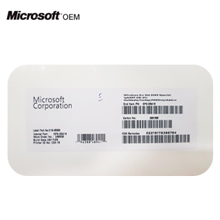 Microsoft Windows SVR STD 2025 SPANISH OEI 2CR (APOS) (EP2-25418)
